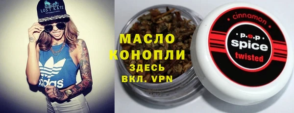 мдпв Богородицк