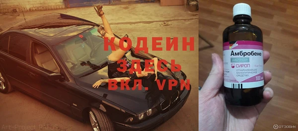 дживик Богородск
