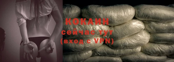 мдпв Богородицк