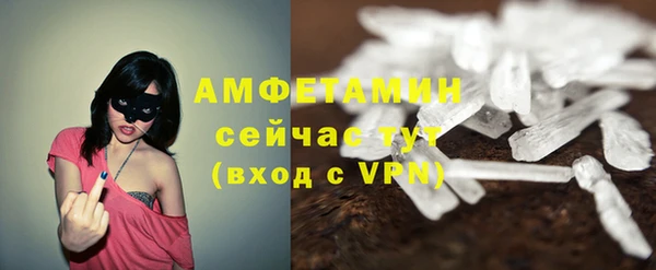 дживик Богородск