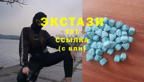 дживик Богородск