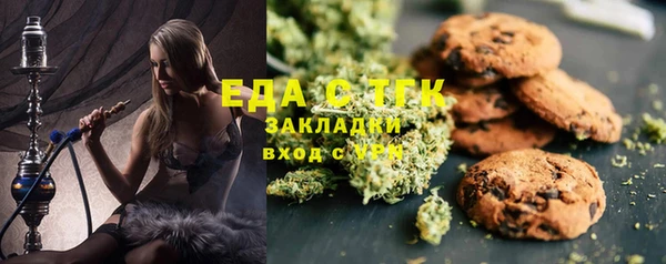 мдпв Богородицк