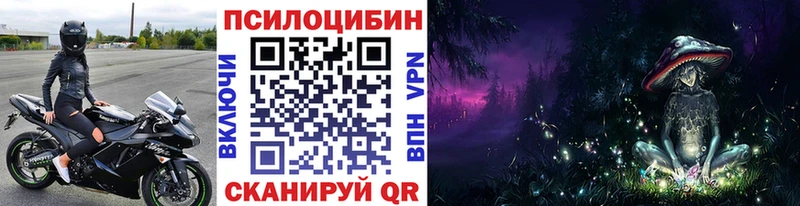 Псилоцибиновые грибы Cubensis  как найти   Мышкин 